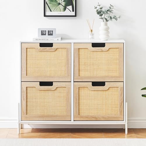 Coucheta Shoe Storage Cabinet