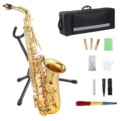 coucheta Eb Alto Saxophone Beginner Pro Kit - Gold Lacquer Brass Sax w/Bag